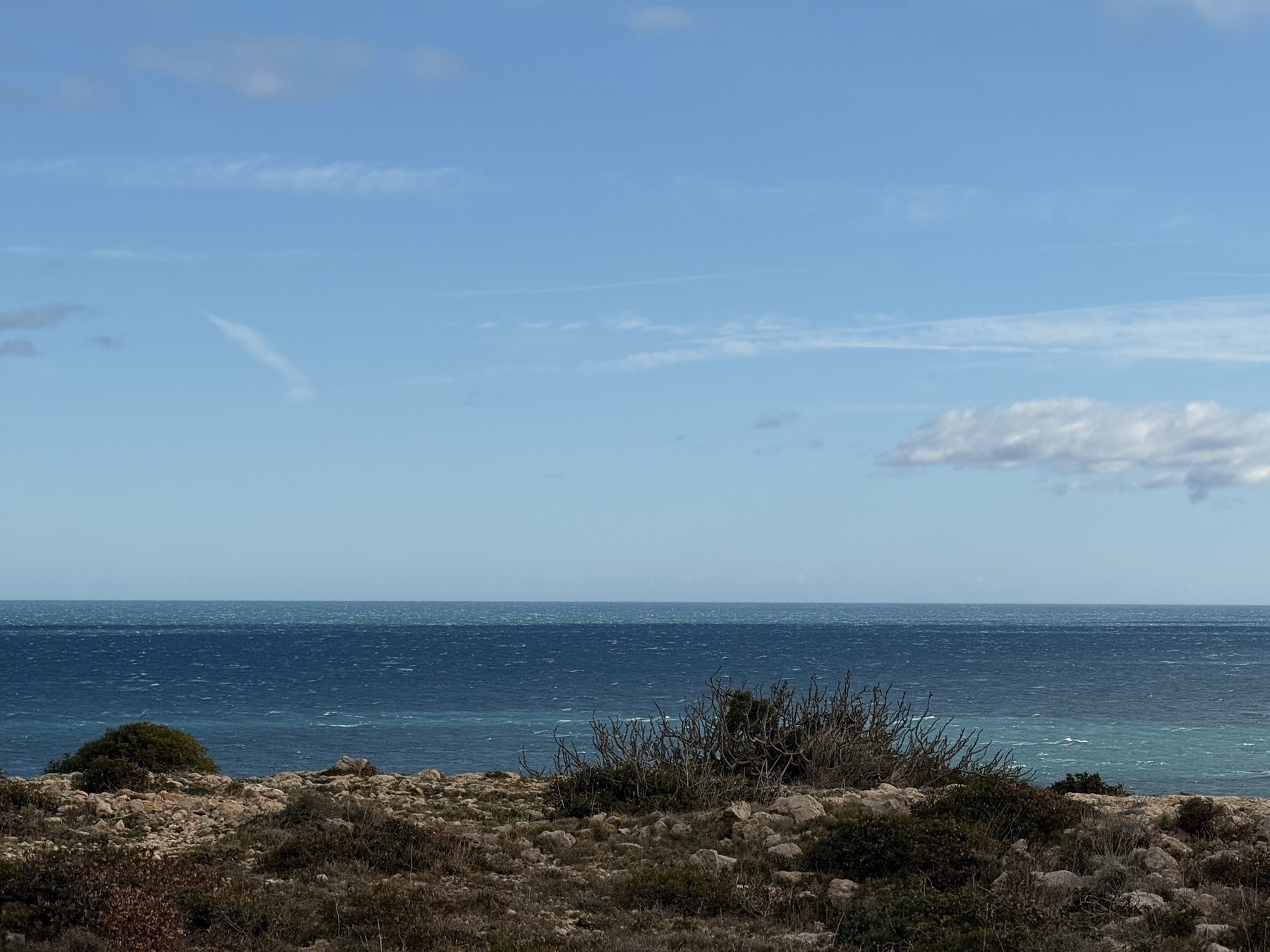 A rocky coastline with sparse vegetation overlooks a calm ocean under a partly cloudy sky.