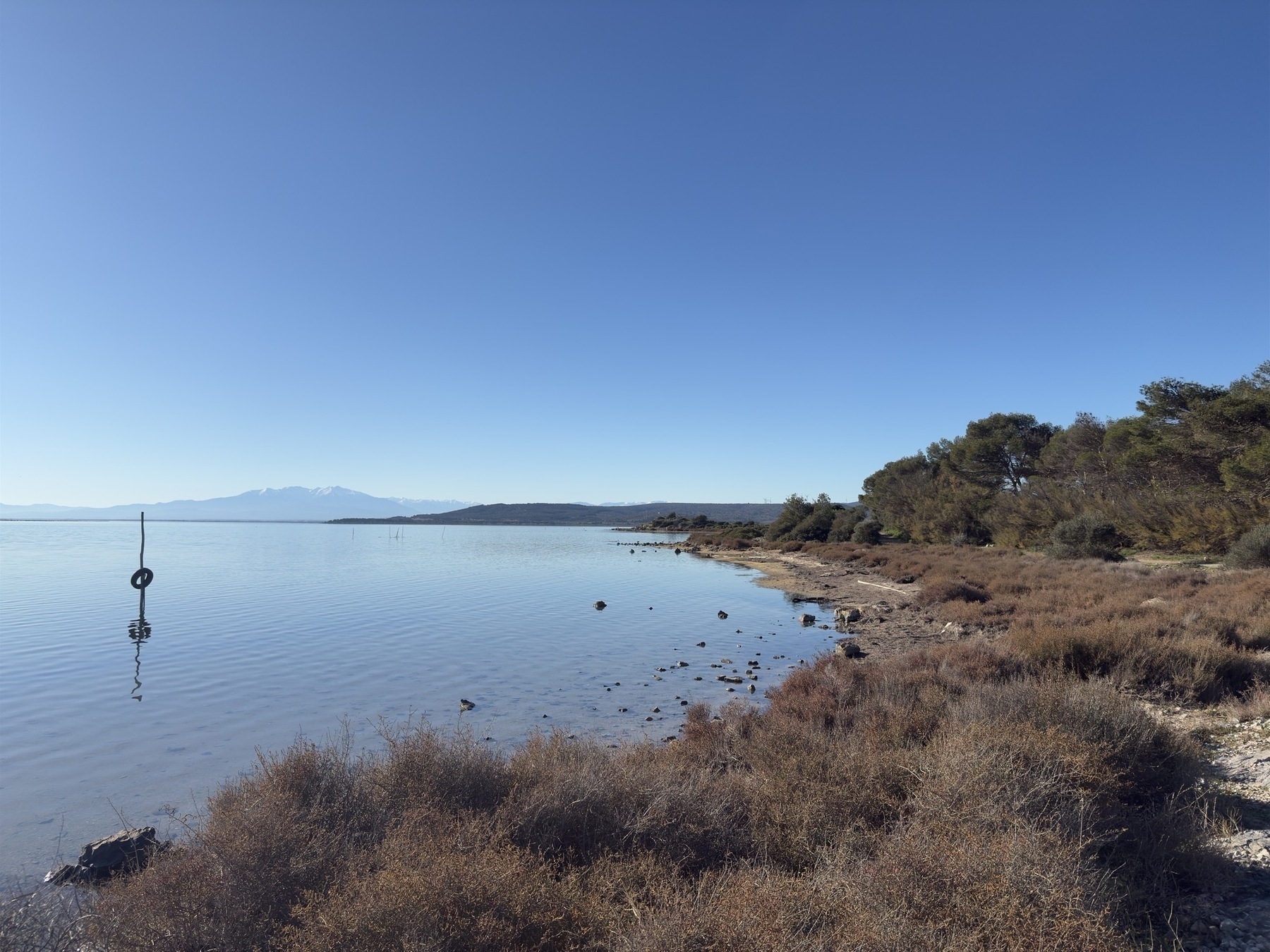 A serene coastal landscape features calm waters, a clear blue sky, and a rocky shoreline with sparse vegetation.