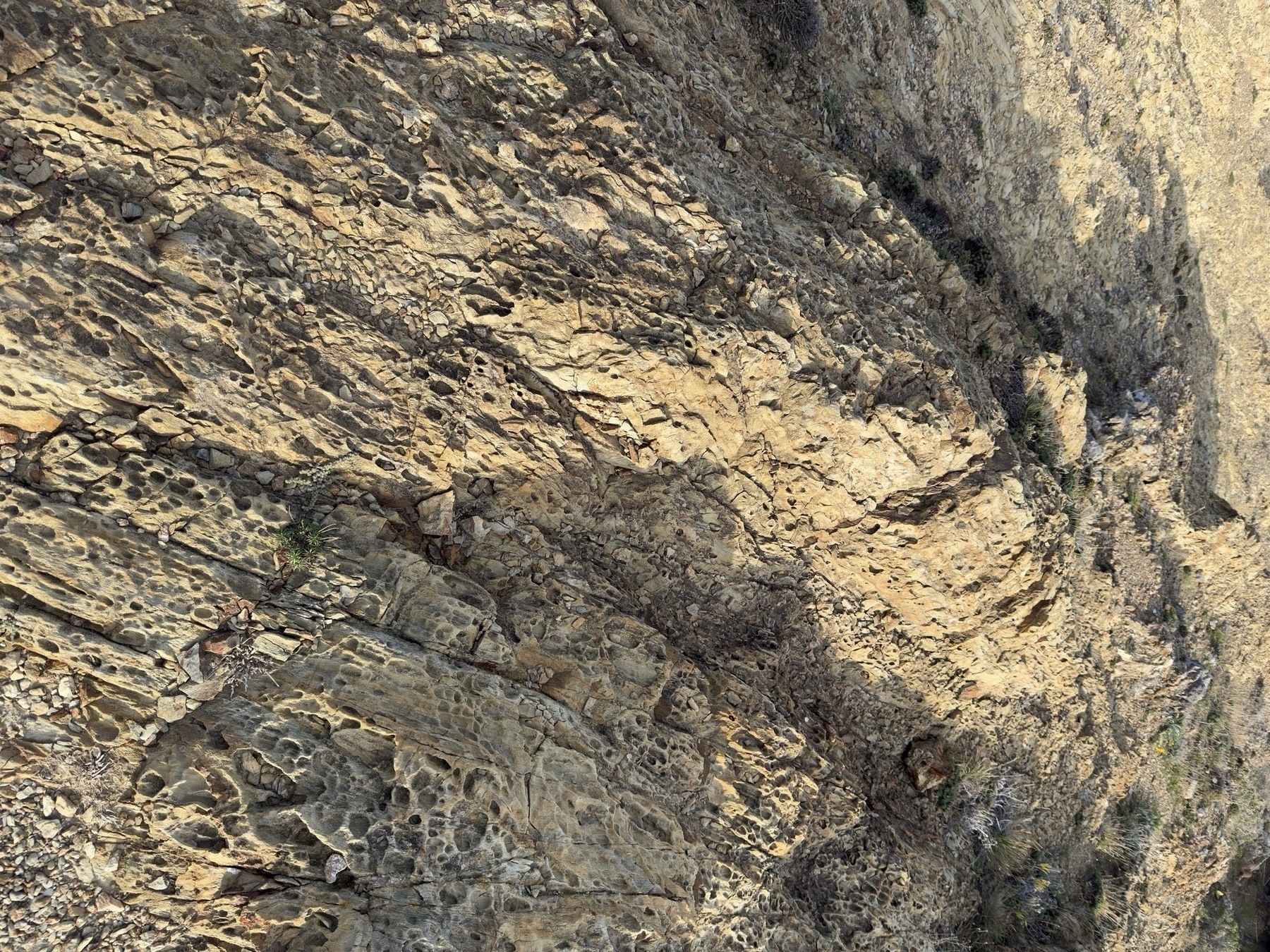A rocky surface featuring layers of textured stone formations.