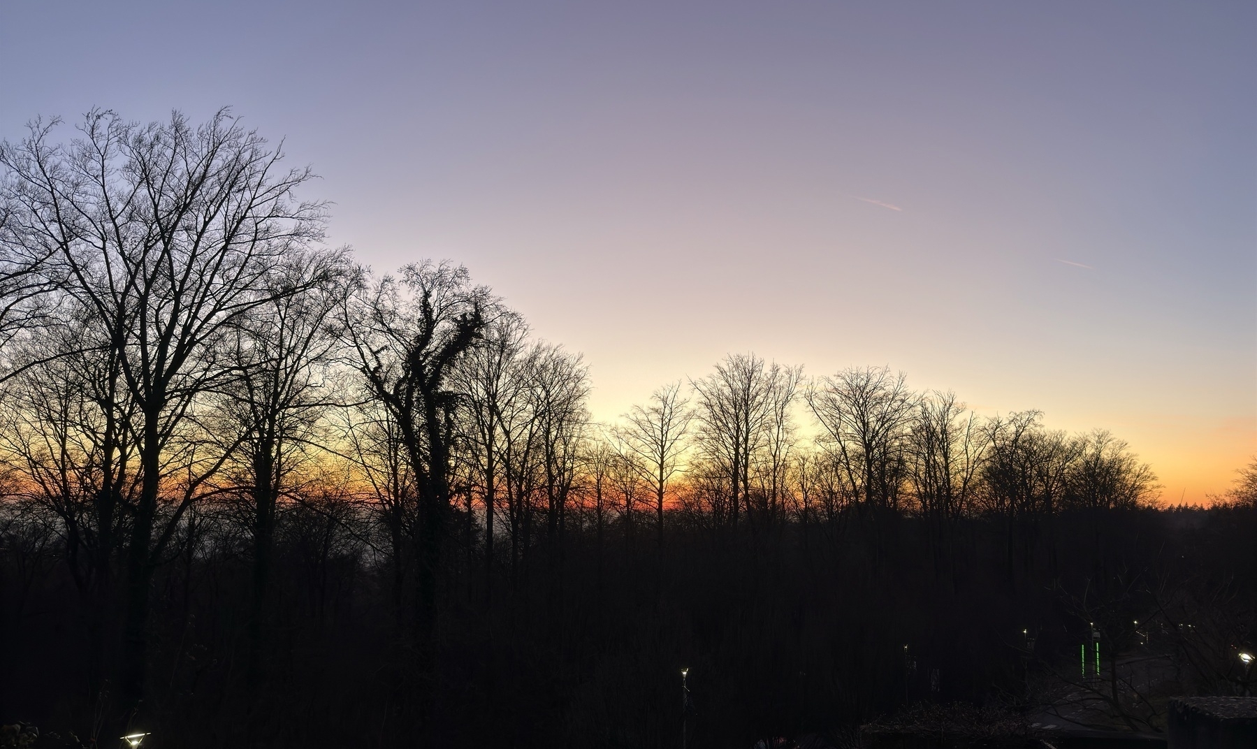 A silhouette of bare trees stands against a colorful sunset sky.