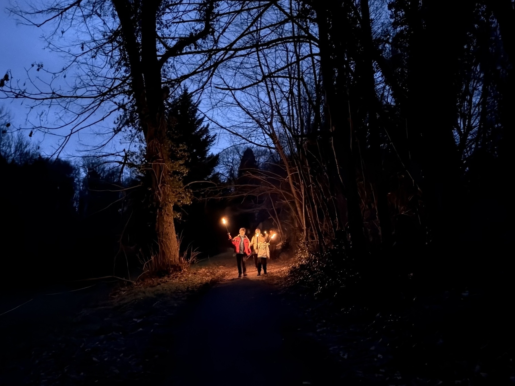 Two people are walking on a dimly lit path through a forest at night, holding lighted torches.